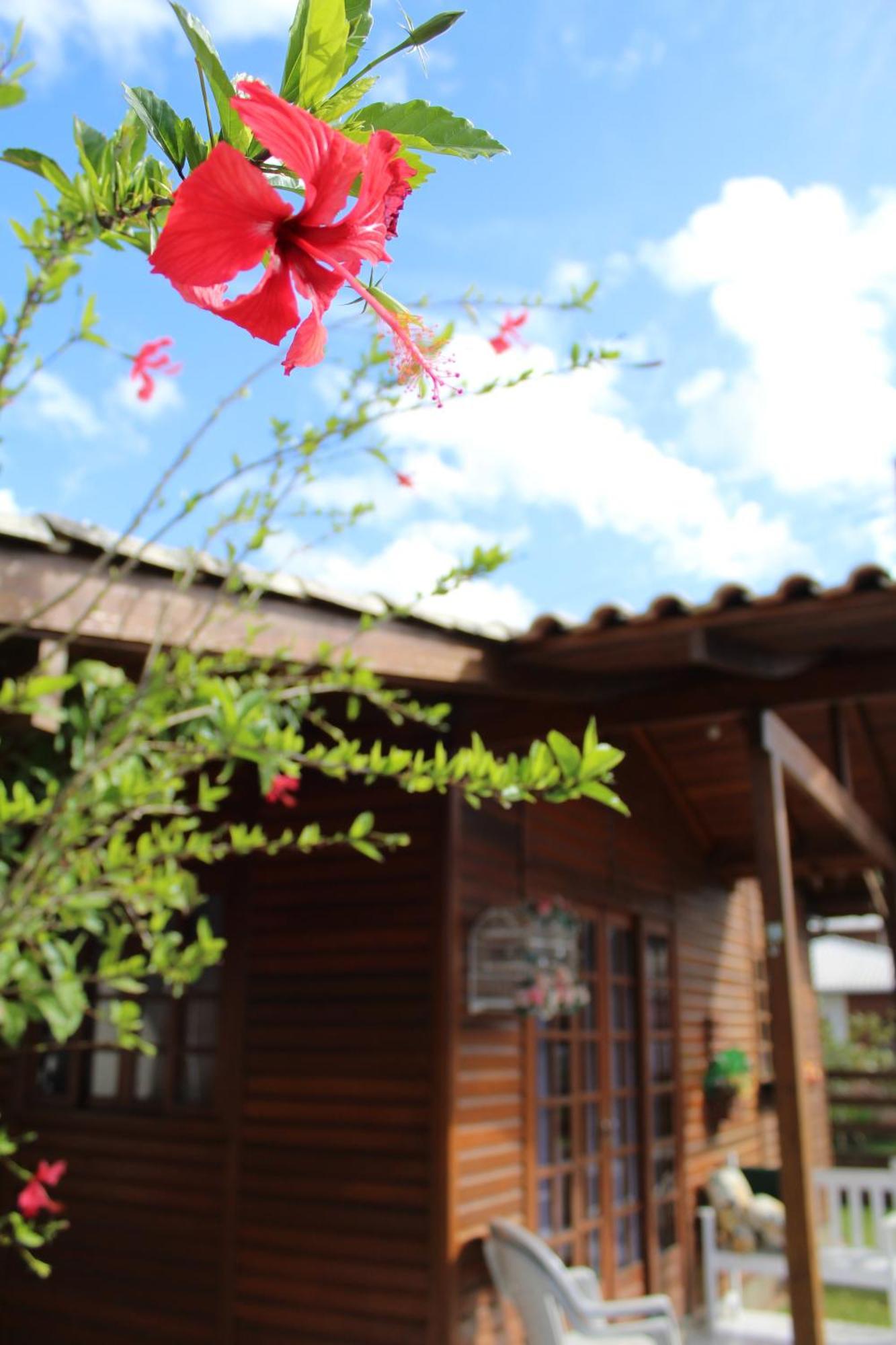 Chales Da Sinha Holiday home Penha (Santa Catarina)